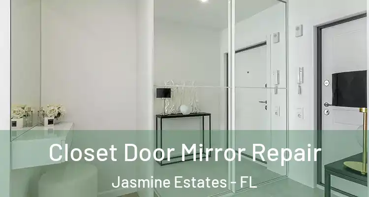  Closet Door Mirror Repair Jasmine Estates - FL