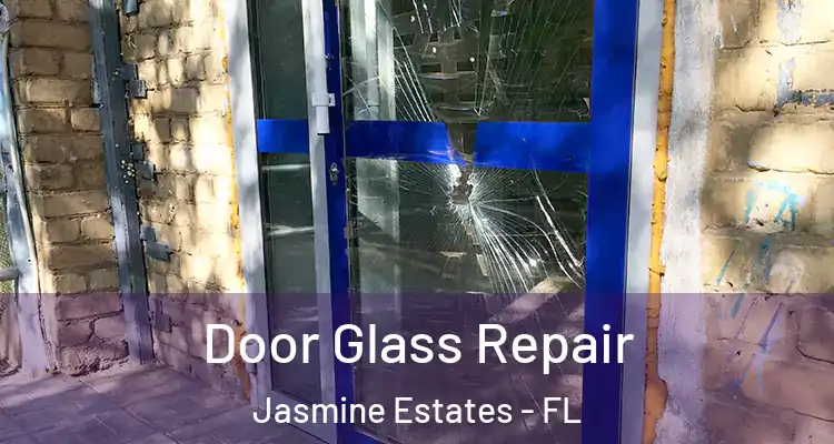  Door Glass Repair Jasmine Estates - FL
