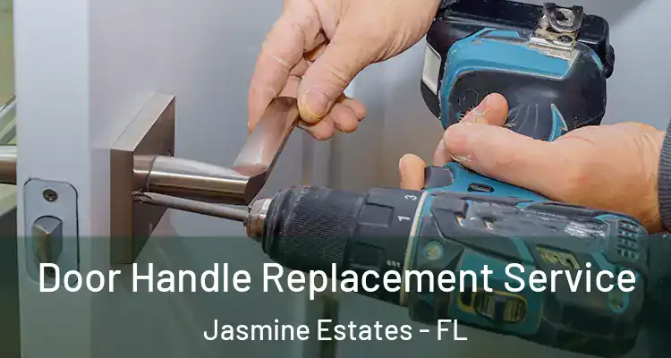  Door Handle Replacement Service Jasmine Estates - FL