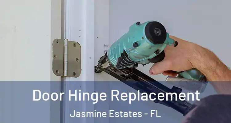 Door Hinge Replacement Jasmine Estates - FL