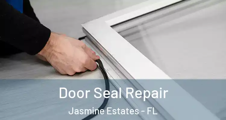  Door Seal Repair Jasmine Estates - FL