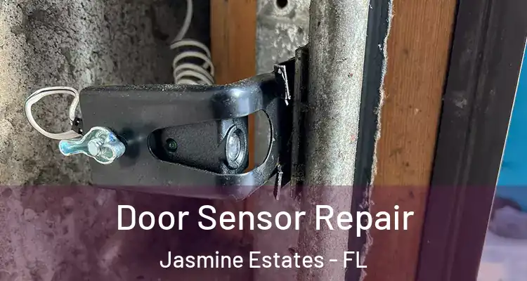  Door Sensor Repair Jasmine Estates - FL