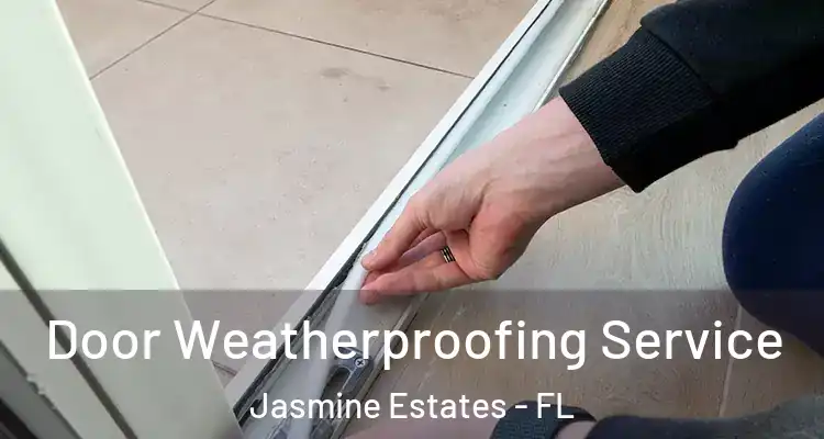  Door Weatherproofing Service Jasmine Estates - FL