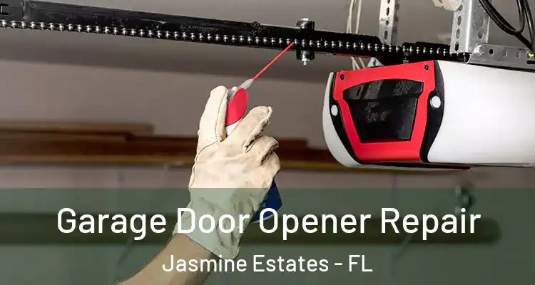  Garage Door Opener Repair Jasmine Estates - FL