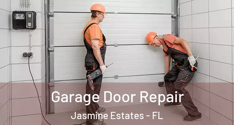  Garage Door Repair Jasmine Estates - FL