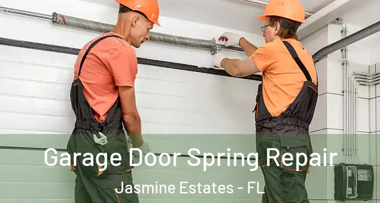  Garage Door Spring Repair Jasmine Estates - FL