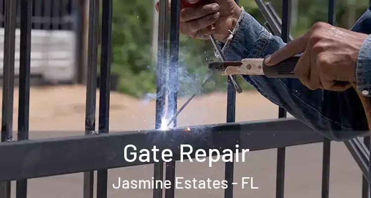  Gate Repair Jasmine Estates - FL