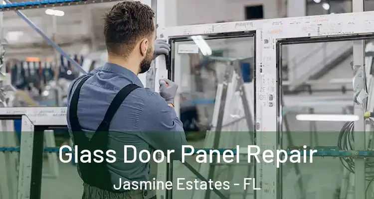  Glass Door Panel Repair Jasmine Estates - FL