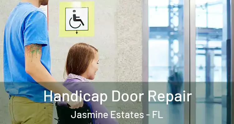  Handicap Door Repair Jasmine Estates - FL