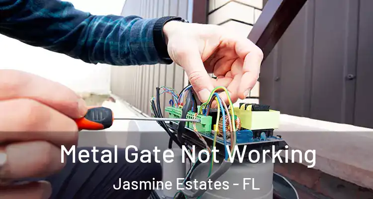  Metal Gate Not Working Jasmine Estates - FL