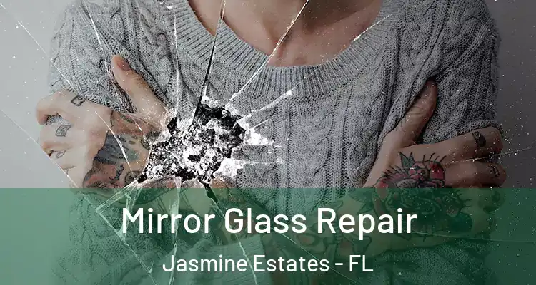  Mirror Glass Repair Jasmine Estates - FL