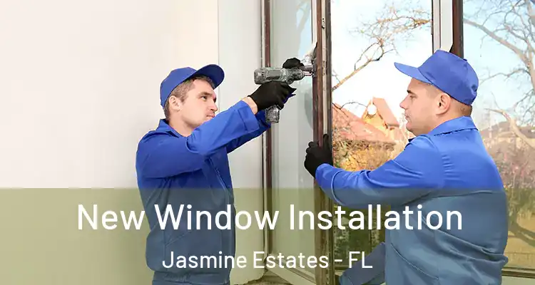  New Window Installation Jasmine Estates - FL