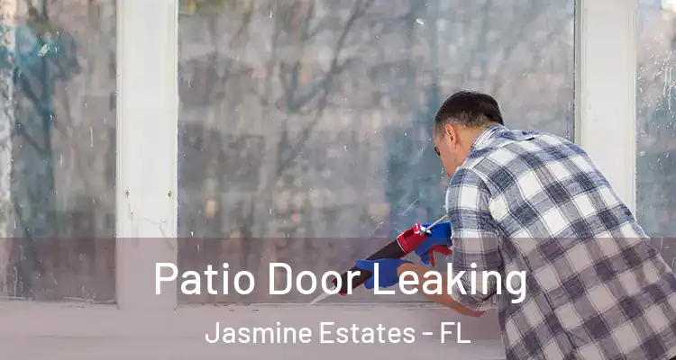  Patio Door Leaking Jasmine Estates - FL