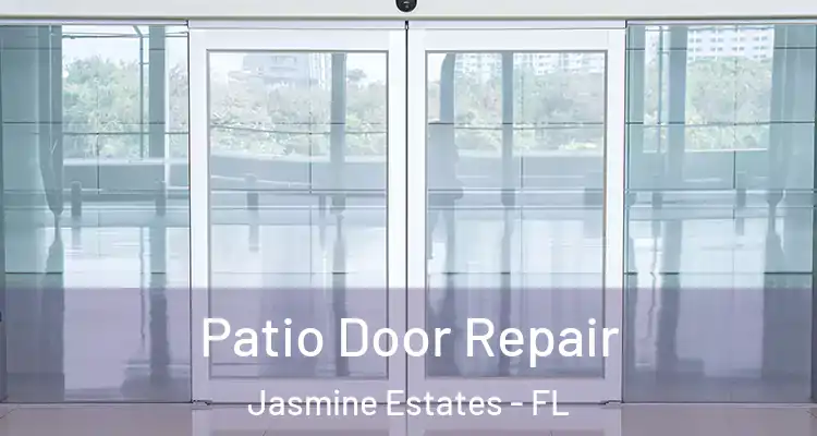  Patio Door Repair Jasmine Estates - FL