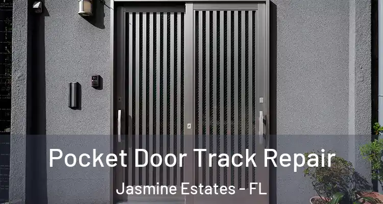  Pocket Door Track Repair Jasmine Estates - FL
