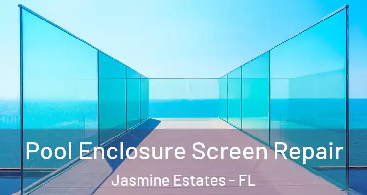  Pool Enclosure Screen Repair Jasmine Estates - FL