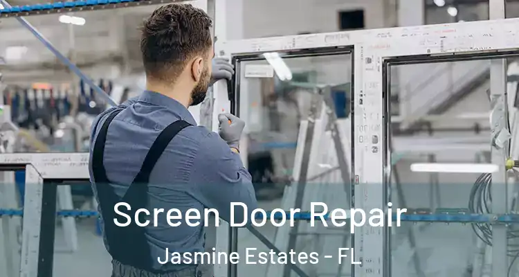  Screen Door Repair Jasmine Estates - FL