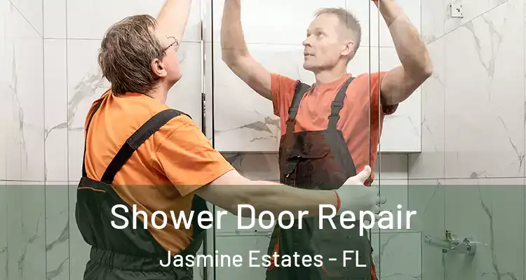  Shower Door Repair Jasmine Estates - FL