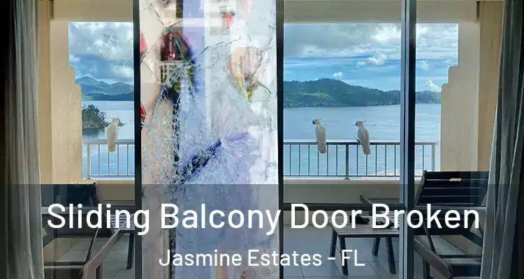  Sliding Balcony Door Broken Jasmine Estates - FL
