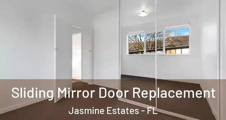  Sliding Mirror Door Replacement Jasmine Estates - FL