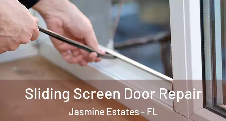  Sliding Screen Door Repair Jasmine Estates - FL