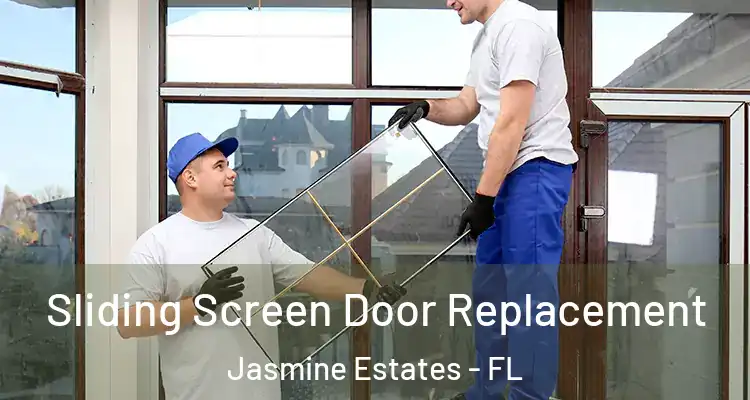  Sliding Screen Door Replacement Jasmine Estates - FL