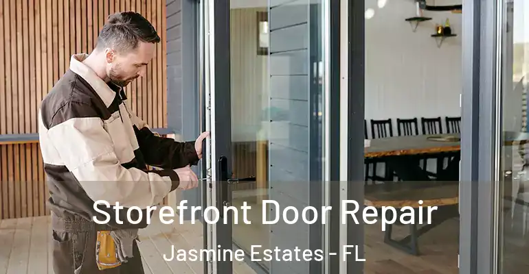  Storefront Door Repair Jasmine Estates - FL