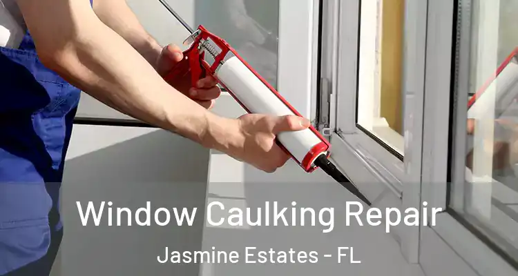  Window Caulking Repair Jasmine Estates - FL