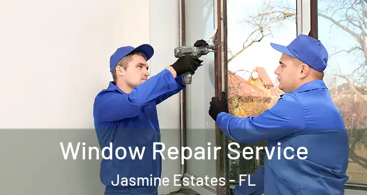 Window Repair Service Jasmine Estates - FL